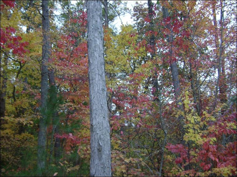 a-DSC05620.JPG