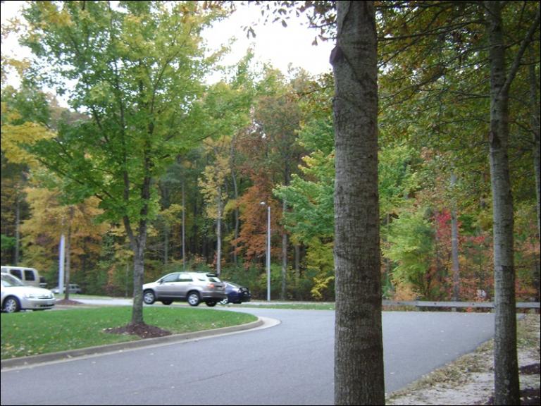 a-DSC05622.JPG