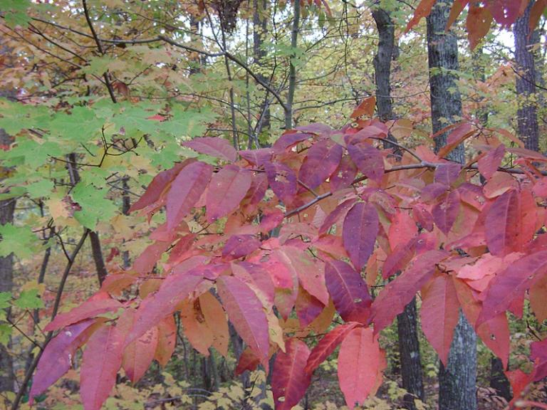 a-DSC05630.JPG