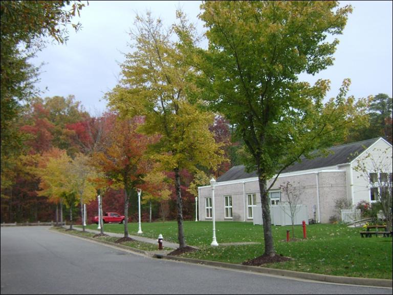 a-DSC05634.JPG