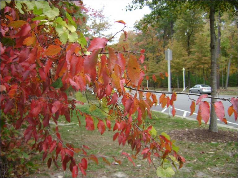 a-DSC05640.JPG