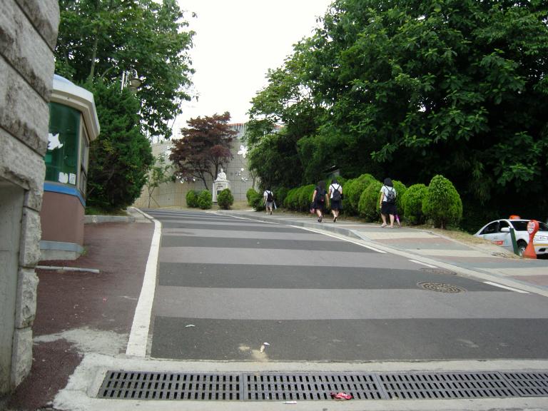 SNC11732.JPG