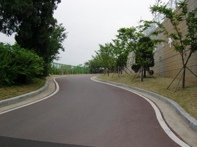 SNC11734.JPG