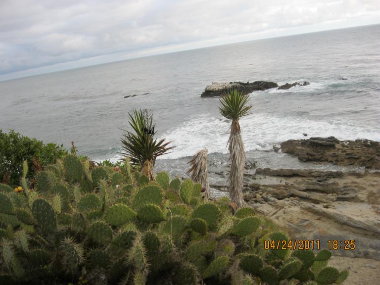 Laguna beach 035.JPG