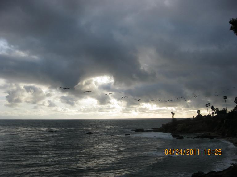 Laguna beach 036.JPG