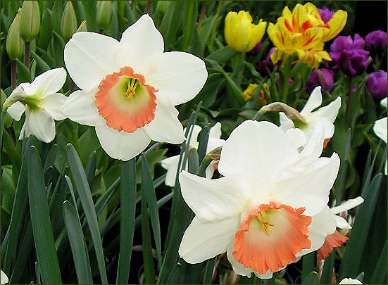 P1010006_1.jpg P1010006_1.jpg