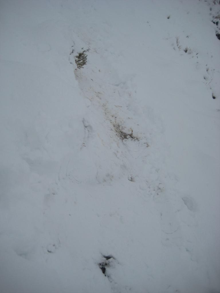 SNOW RKIDING 019.JPG