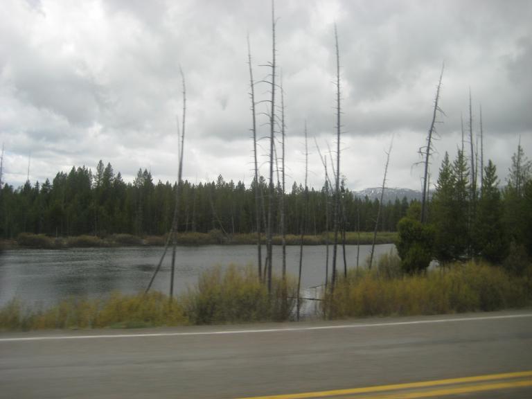 Yellowstone 177.JPG
