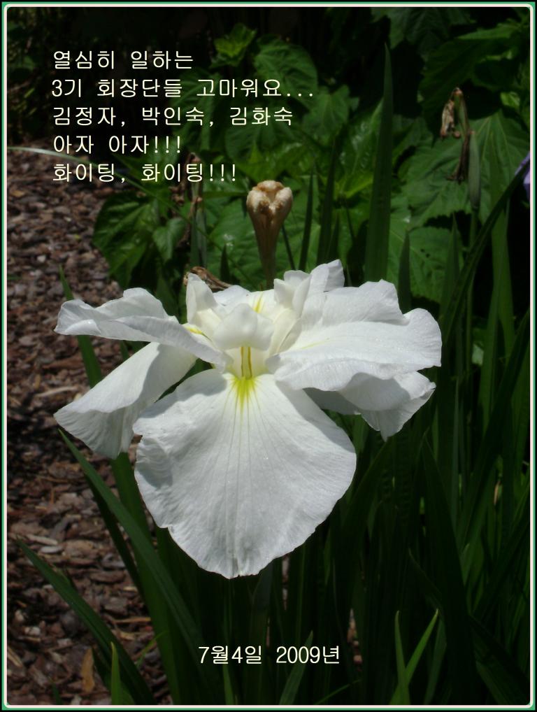 a-DSC00846.JPG