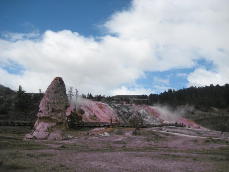 Yellowstone 646.JPG