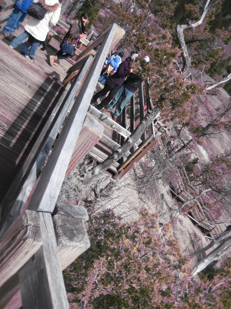 Yellowstone 659.JPG