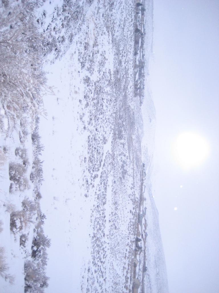 눈속의 아침산보 012.JPG