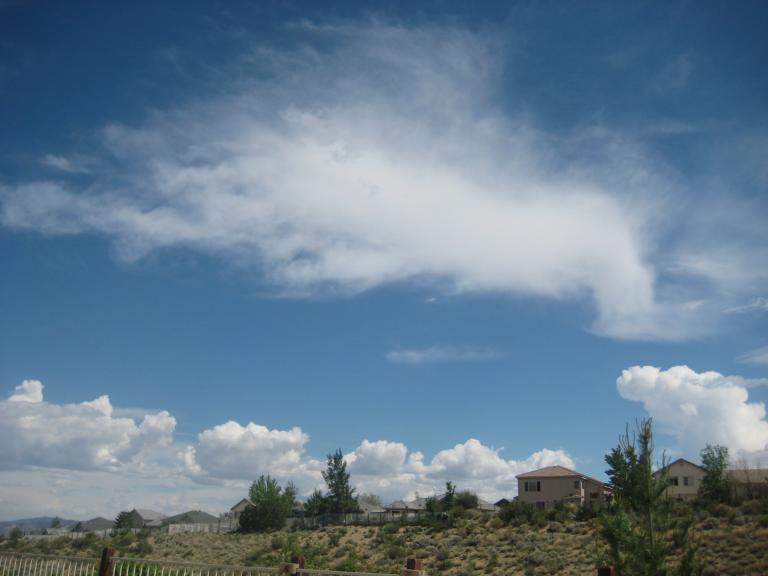 407.JPG