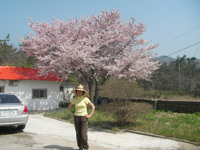 SANY0161.JPG