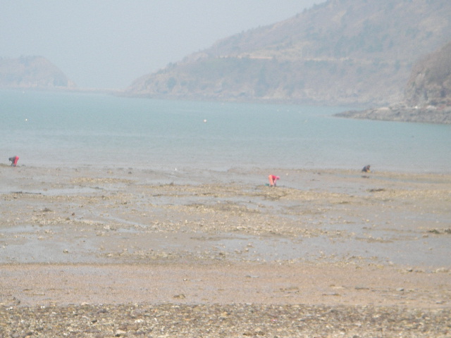 SANY0162.JPG