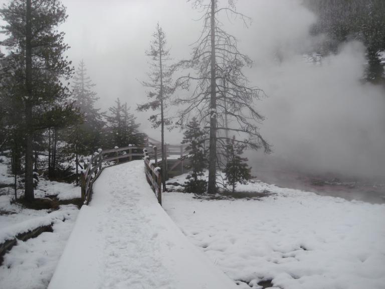 Yellowstone 483.JPG