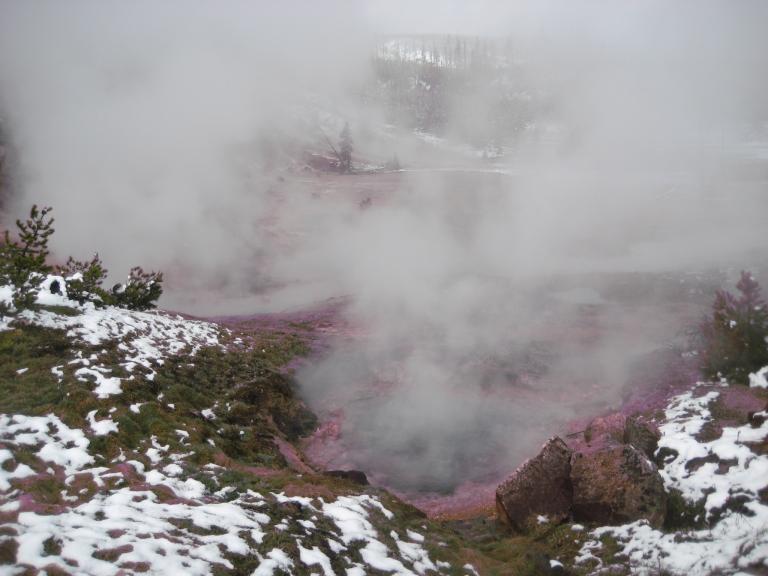 Yellowstone 484.JPG