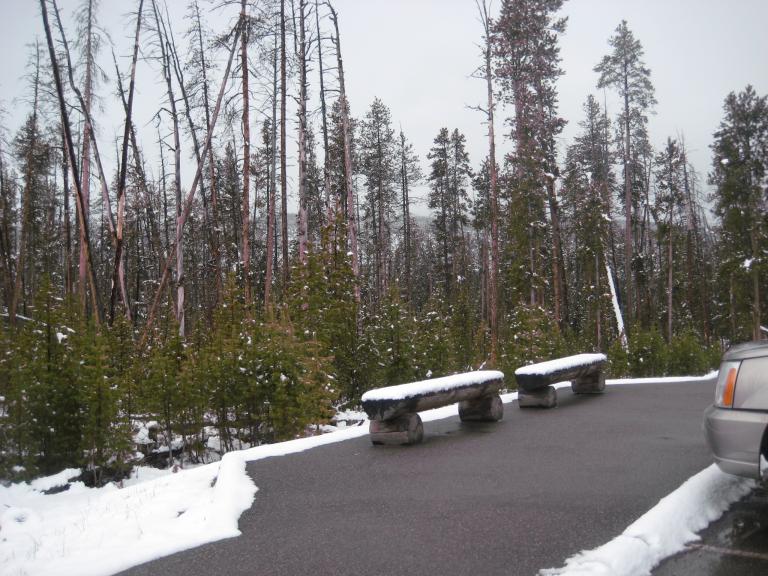 Yellowstone 485.JPG