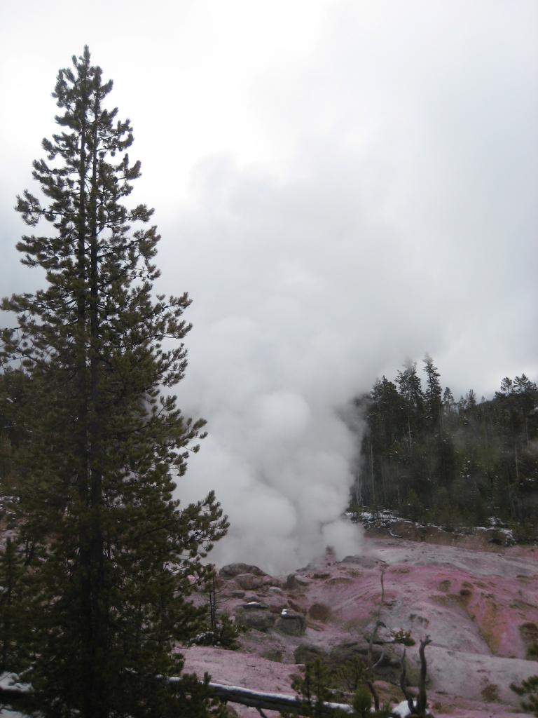Yellowstone 509.JPG