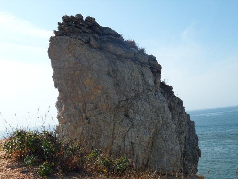 SDC10762.JPG