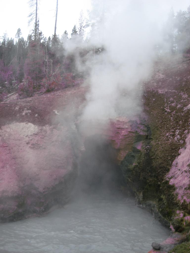 Yellowstone 582.JPG