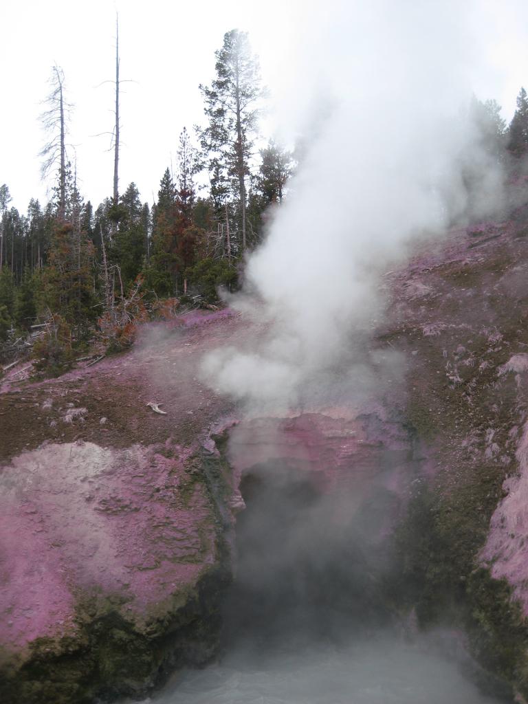 Yellowstone 584.JPG