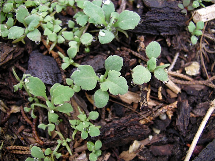 a-SANY0496.JPG