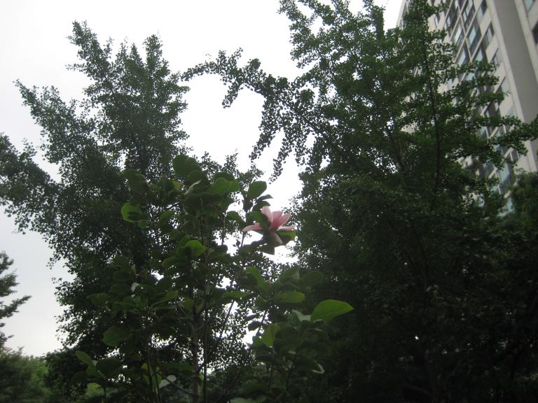 사진연습 043.jpg 사진연습 043.jpg