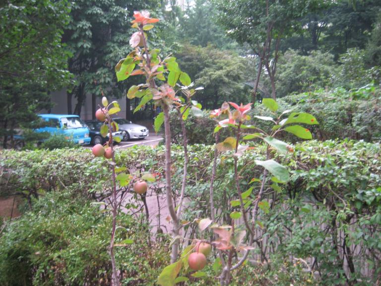 사진연습 044.jpg 사진연습 044.jpg