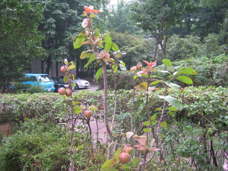 사진연습 045.jpg 사진연습 045.jpg