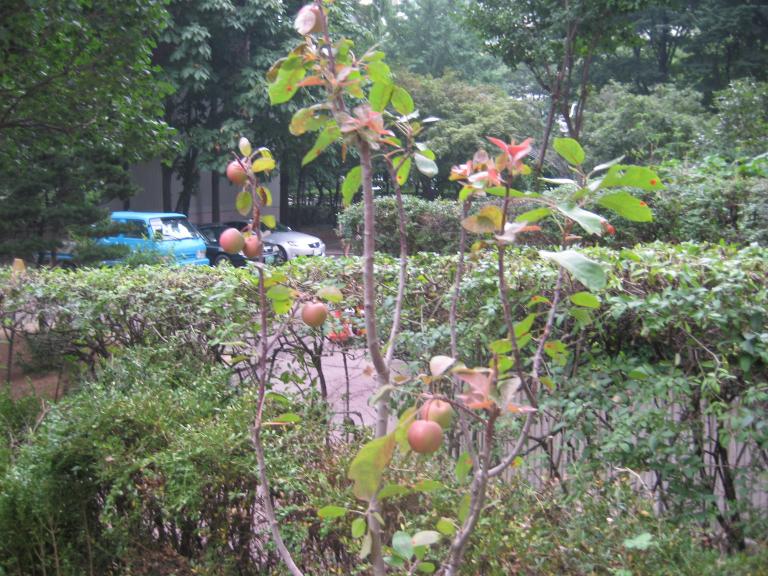 사진연습 046.jpg 사진연습 046.jpg