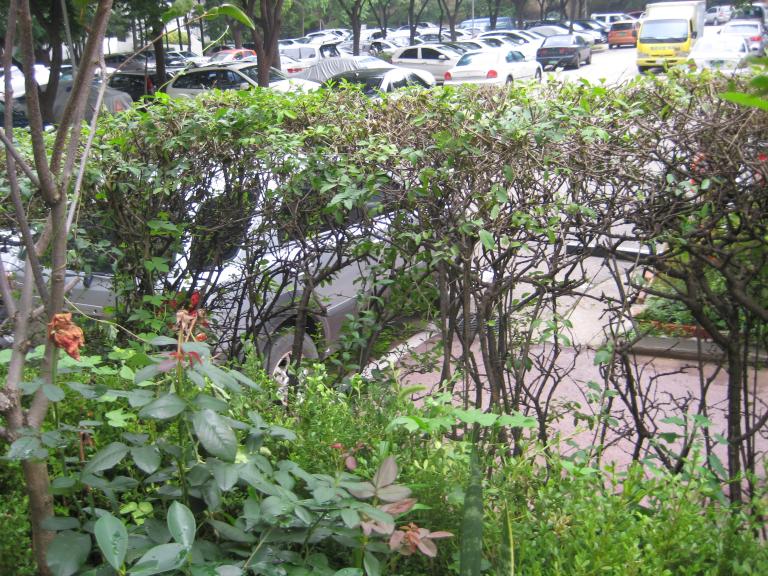 사진연습 050.jpg 사진연습 050.jpg