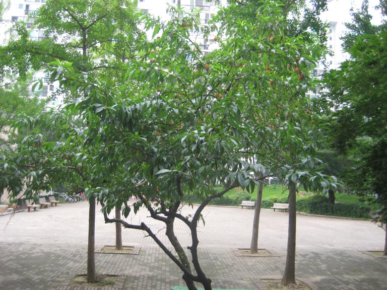 사진연습 053.jpg 사진연습 053.jpg