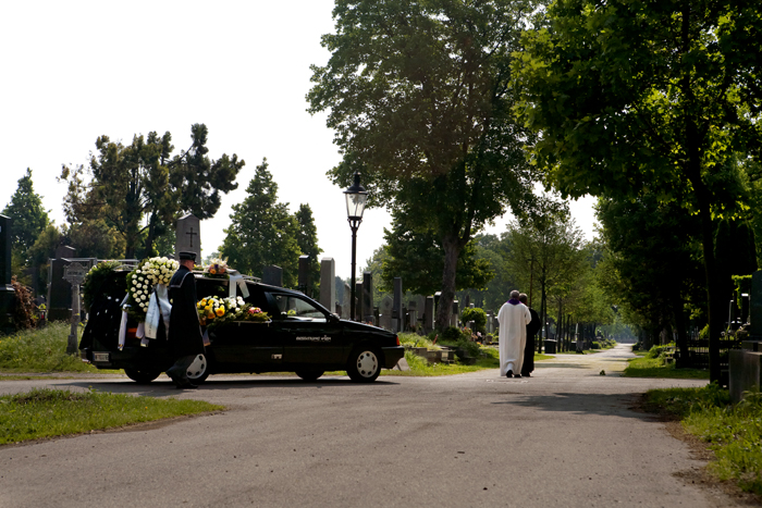 flowering car5_700.jpg