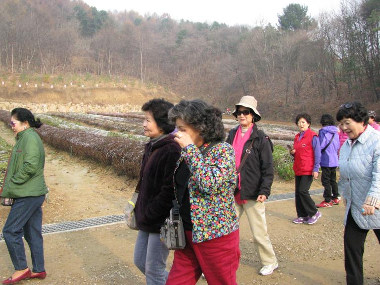 포천 326.jpg