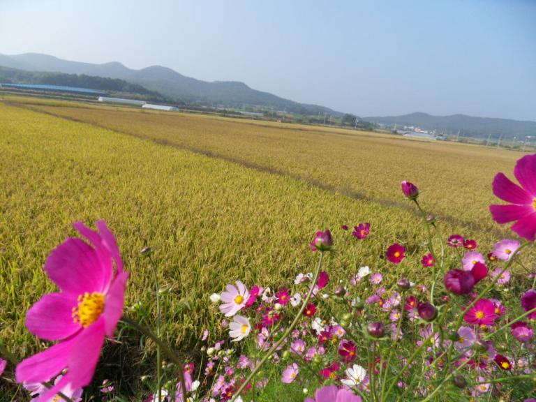 SDC10574.JPG