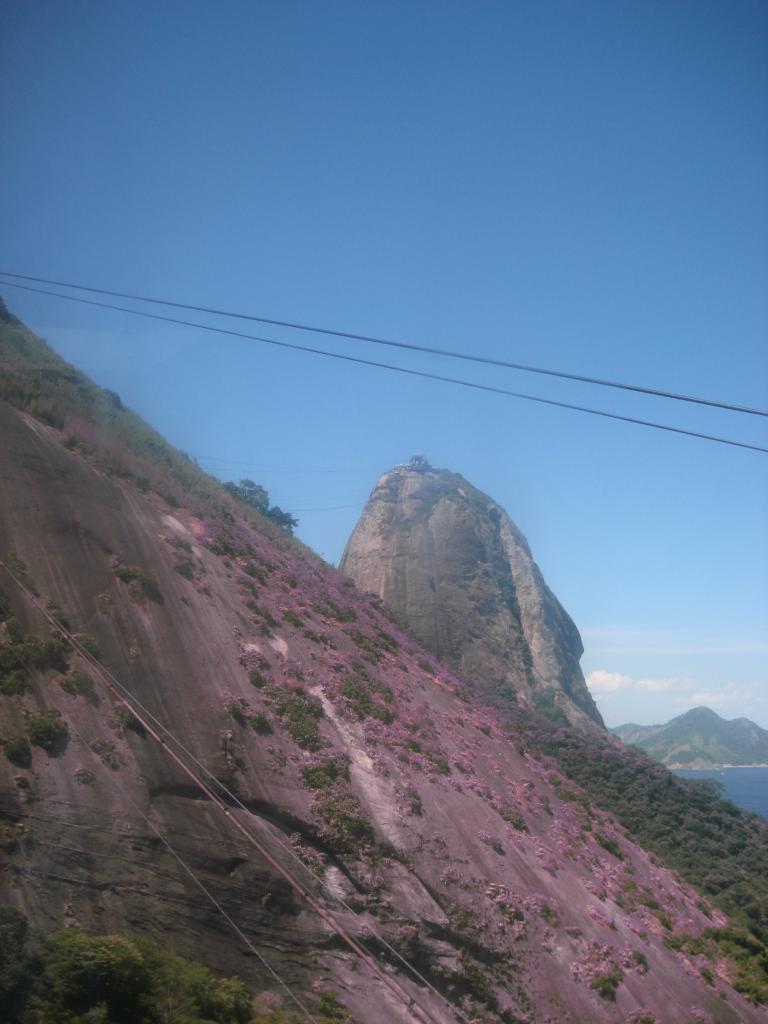 South America Brazil 332.JPG