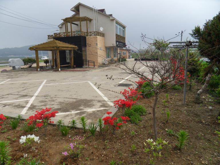 SDC11295.JPG