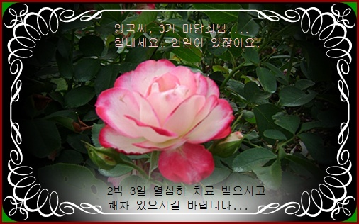 aa-DSC01495.JPG