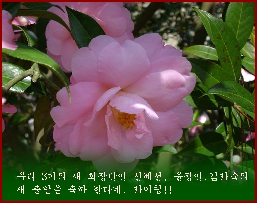 a-DSC03338.JPG