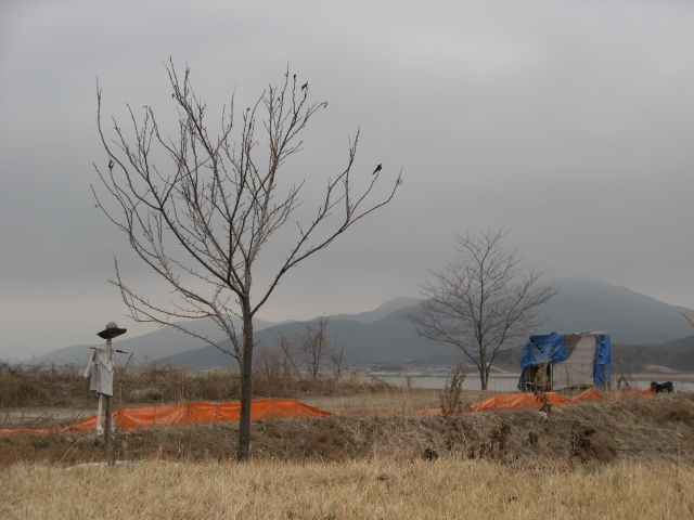 W;munkyung 035.jpg
