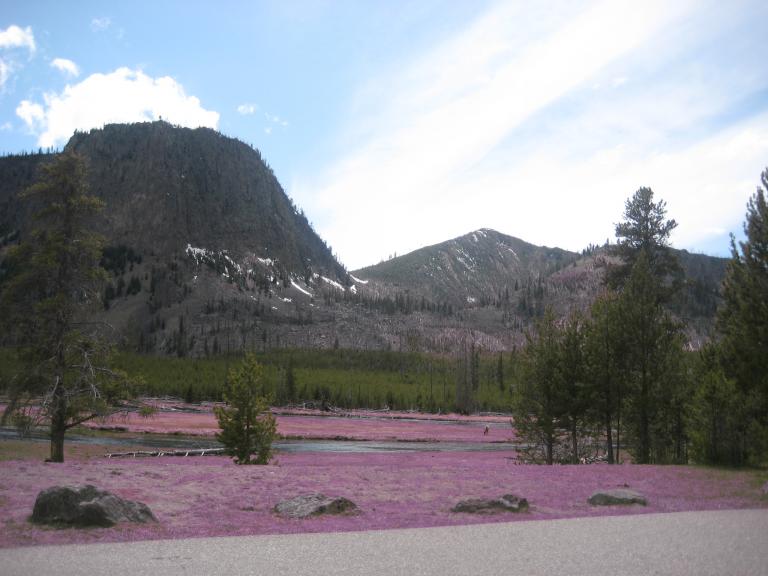 Yellowstone 451.JPG