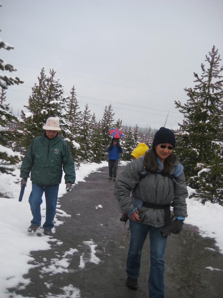 Yellowstone 482.JPG