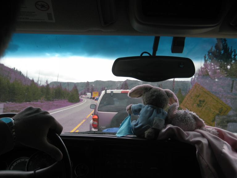 Yellowstone 632.JPG