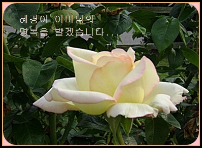 aa-DSC01485.JPG