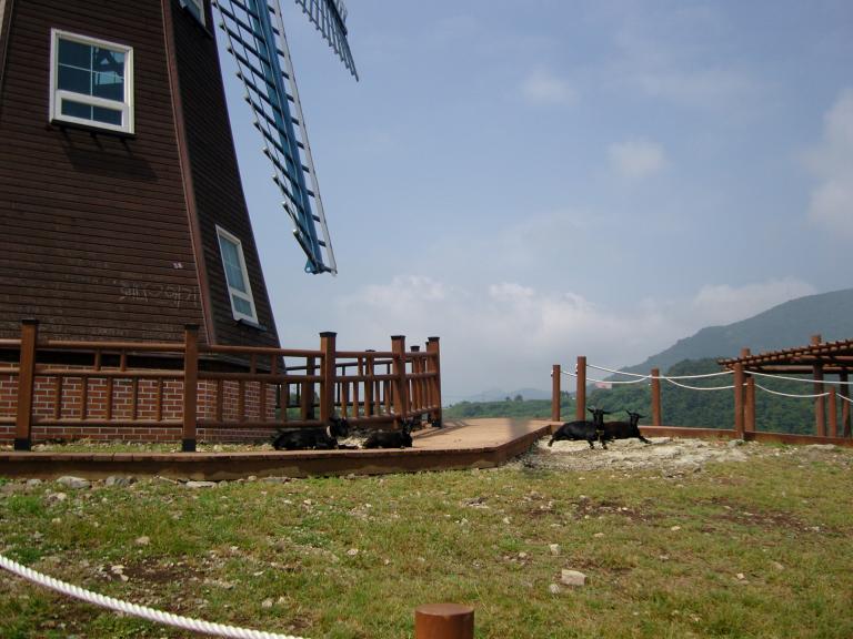 SNC10162.JPG