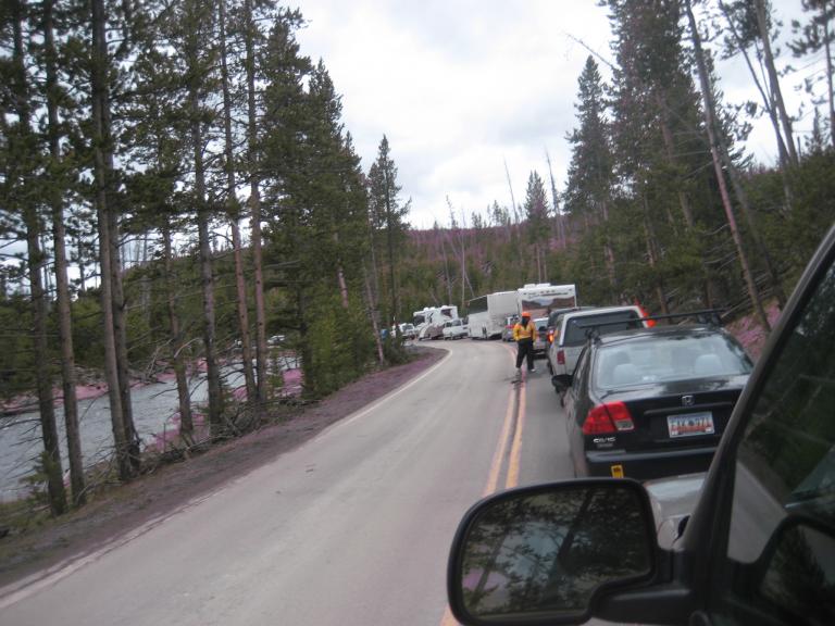 Yellowstone 703.JPG