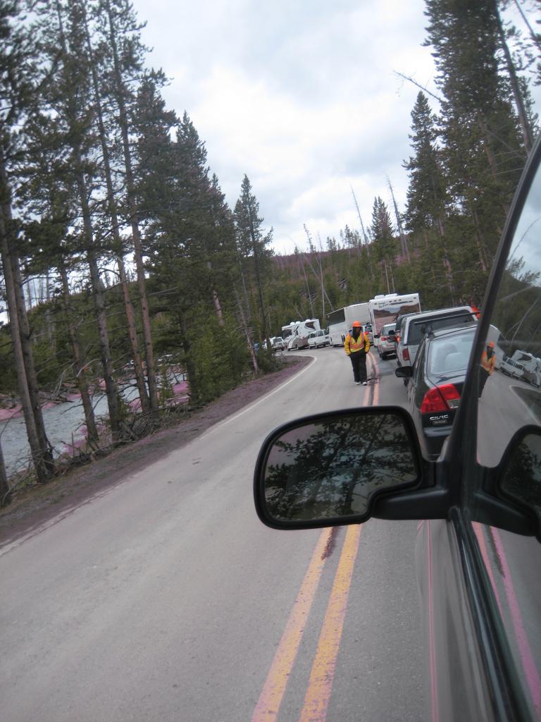Yellowstone 704.JPG