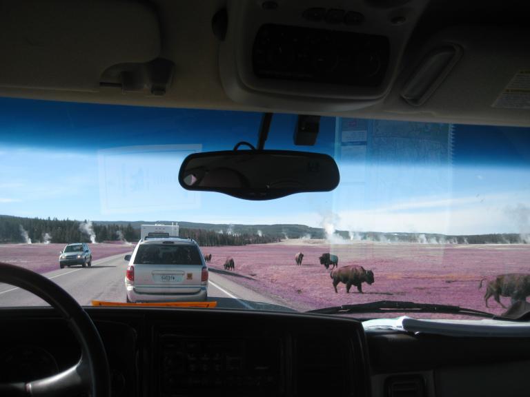 Yellowstone 847.JPG