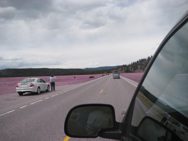 Yellowstone 929.JPG